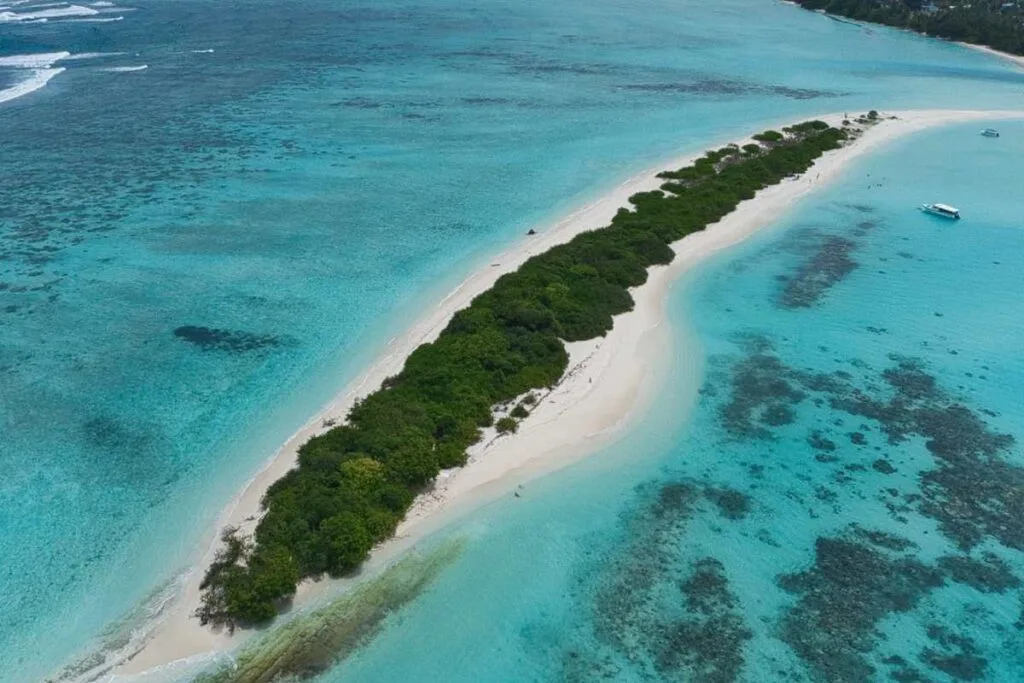 2 in 1 combo: Picnic + Snorkeling - Image 1
